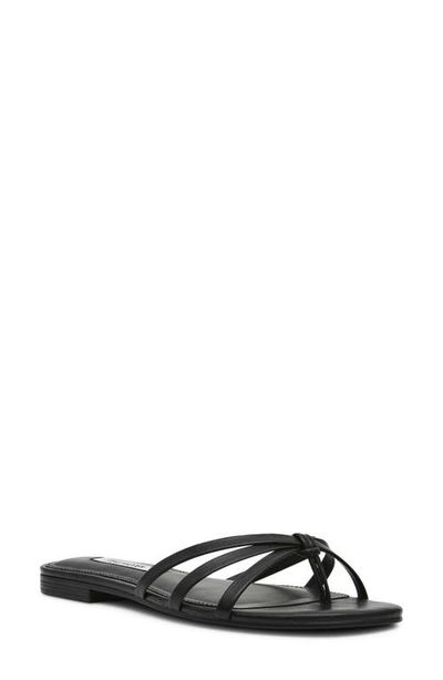 Steve Madden Steve Madden Calissi Flip Flop
