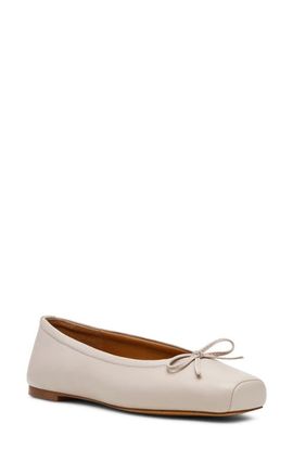 Steve Madden Steve Madden Eleve Square Toe Flat