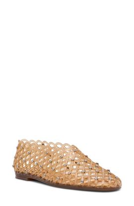 Steve Madden Steve Madden Grove Rhinestone Jelly Flat