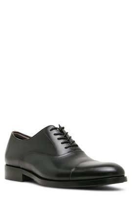 Steve Madden Steve Madden Hallifax Leather Cap Toe Oxford