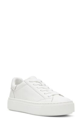 Steve Madden Steve Madden Holli Leather Platform Sneaker