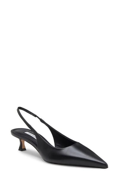 Steve Madden Steve Madden Kathy Slingback Pointed Toe Pump