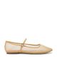 Steve Madden Steve Madden Maple Mary Jane Flat - 1