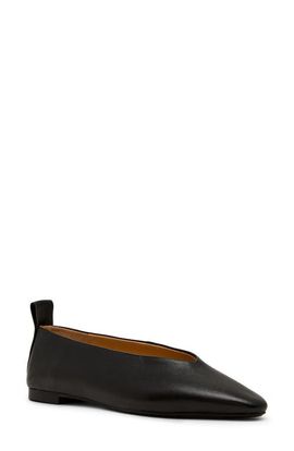 Steve Madden Steve Madden Swanky Pointed Toe Flat
