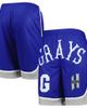 STITCHES Men's Stitches Navy Homestead Grays Shorts  - 1