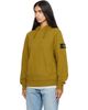 Stone Island Stone Island Khaki 6100048 Brushed Organic Cotton Fleece Hoodie - 4