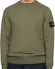 Stone Island Stone Island Khaki 6100060 Organic Cotton Fleece Sweatshirt - 1