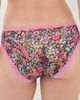 Stripe & Stare Stripe & Stare Orignal Knickers 4 Pack Pansy Pop - 4