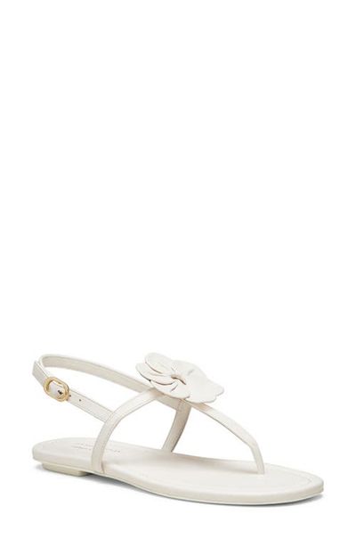 Stuart Weitzman Stuart Weitzman x Sandy Liang T-Strap Slingback Sandal
