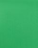 STYLEST STYLEST DreamSculpt High Waist Bikini Bottoms Parrot Green - 5