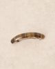 Sui Ava Sui Ava curved hair clip in brown stripe - 2