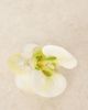 Sui Ava Sui Ava orchid flower hair clip in yellow - 2