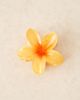 Sui Ava Sui Ava Plumeria flower large hair clip in yellow - 2