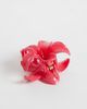 Sui Ava Sui Ava Plumeria flower mini hair clip in pink - 3