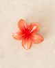 Sui Ava Sui Ava Plumeria mini flower hair clip in orange - 2