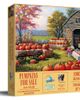 Sunsout Sunsout Pumpkins for Sale 1000 piece Jigsaw Puzzle for Adults - 1