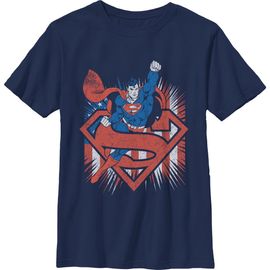 SUPERMAN SUPERMAN Boys' Festive Pose Graphic Short Sleeve T-Shirt