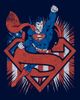SUPERMAN SUPERMAN Boys' Festive Pose Graphic Short Sleeve T-Shirt - 2