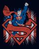 SUPERMAN SUPERMAN Girls' Festive Pose Graphic Short Sleeve T-Shirt - 2