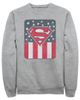 SUPERMAN SUPERMAN Men's Patriotic S Shield Long Sleeve Crewneck Sweatshirt - 1