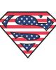 SUPERMAN SUPERMAN Women's Patriotic Logo Short Sleeve Graphic T-Shirt - 2