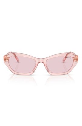 Swarovski Swarovski 54mm Cat Eye Sunglasses
