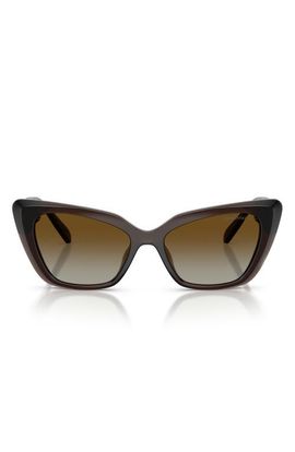 Swarovski Swarovski 54mm Polarized Cat Eye Sunglasses