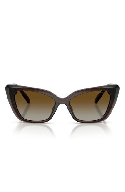 Swarovski Swarovski 54mm Polarized Cat Eye Sunglasses