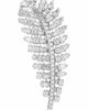 Swarovski Swarovski Vienna Crystal Feather Brooch - 1