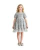 Sweet Cactus Sweet Cactus Mist Ruffle Dress - 2
