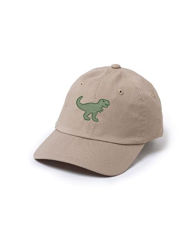 Sweet Wink Sweet Wink Boys' Dinosaur Patch Baseball Hat