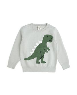 Sweet Wink Sweet Wink Boys' Dinosaur Sweater