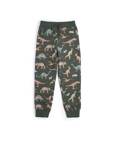 Sweet Wink Sweet Wink Boys' Dinosaurs Rock Jogger