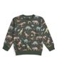 Sweet Wink Sweet Wink Boys' Dinosaurs Rock Sweatshirt - 1