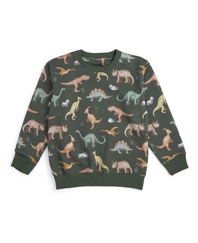 Sweet Wink Sweet Wink Boys' Dinosaurs Rock Sweatshirt