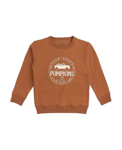 Sweet Wink Sweet Wink Boys' Farm Fresh Pumpkins Sweatshirt