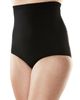 Swimsuits for All Swimsuits for All High Waist Swim Brief - 1