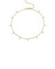 Sydney Evan Sydney Evan Small Pave Fringe Anklet - 1