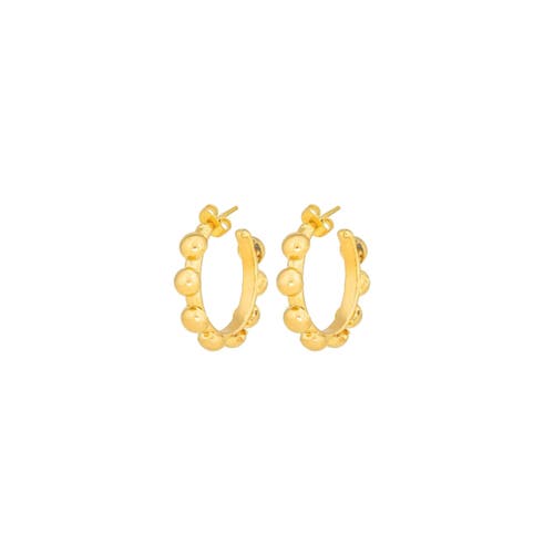 SYLVIA TOLEDANO SYLVIA TOLEDANO Mni Creole Earrings