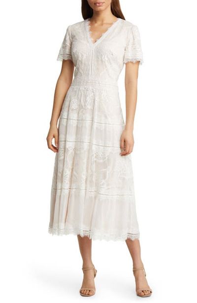 Tadashi Shoji Tadashi Shoji Lace & Mesh Midi Cocktail Dress