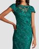 Tadashi Shoji Women's Lace Column Gown - 4