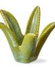 tag tag Aloe Vera Tealight Holder Green Stoneware Spring  - 1