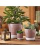 tag tag Large Two Tone BCeramic Garden Planter Easy to Clean - 2