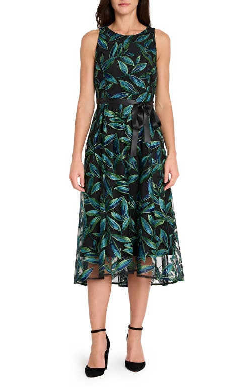 TAHARI ASL Dresses