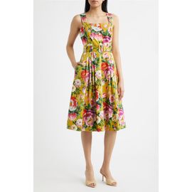 Tahari ASL Tahari ASL Floral Print Fit & Flare Sundress
