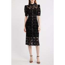 Tahari ASL Tahari ASL Lace Midi Shirtdress