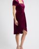 Tahari ASL Tahari ASL Pleated Fringe Velvet Cocktail Dress - 3