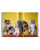 Taschen Taschen Walter Chandoha. Cats. Photographs 1942-2018 - 5