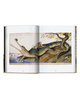 Taschen Taschen Walton Ford. 40th Ed. - 4