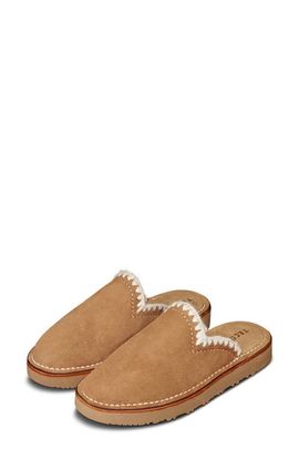 Tecovas Tecovas The Olivia Platform Mule